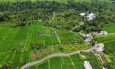 Land sale in payangan ubud bali - ricefiled and jungle view