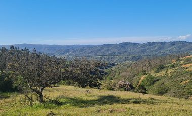 Oportunidad de Inversión, 20.000 m2 en Casablanca - Las Dichas