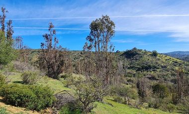 Oportunidad de Inversión, 20.000 m2 en Casablanca - Las Dichas