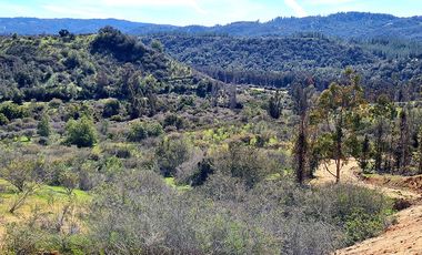 Oportunidad de Inversión, 20.000 m2 en Casablanca - Las Dichas