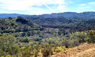 Oportunidad de Inversión, 20.000 m2 en Casablanca - Las Dichas