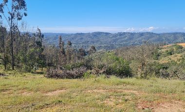 Oportunidad de Inversión, 20.000 m2 en Casablanca - Las Dichas