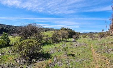 Oportunidad de Inversión, 20.000 m2 en Casablanca - Las Dichas