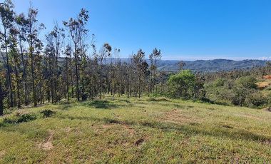 Oportunidad de Inversión, 20.000 m2 en Casablanca - Las Dichas