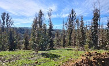 Oportunidad de Inversión, 20.000 m2 en Casablanca - Las Dichas