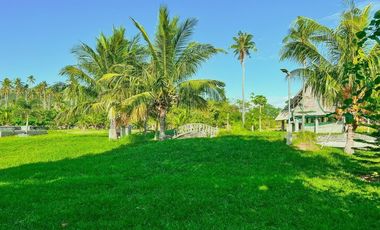 FOR SALE! 1.1 hectares or 11,000 sqm Beachfront Lot at Abra De Ilog, Occidental Mindoro