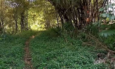 11320 M2 Tanah Kebun Zona Kuning, Baros Arjasari, Kab. Bandung
