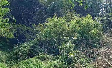 11320 M2 Tanah Kebun Zona Kuning, Baros Arjasari, Kab. Bandung