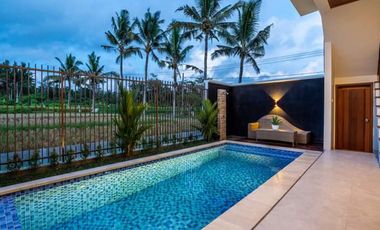 The Brand New and Freshlook Villa Cluster in Ubud