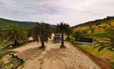 Parcelas de 5.000 m² en El Carpintero, Casablanca: red de luz y agua operativas, portería terminada, rol propio y crédito directo disponible.