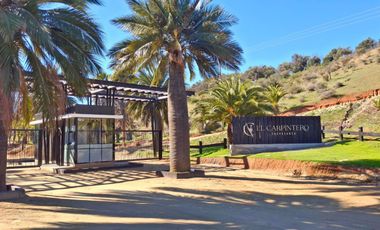 Parcelas de 5.000 m² en El Carpintero, Casablanca: red de luz y agua operativas, portería terminada, rol propio y crédito directo disponible.
