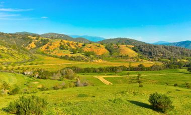 Parcelas de 5.000 m² en El Carpintero, Casablanca: red de luz y agua operativas, portería terminada, rol propio y crédito directo disponible.