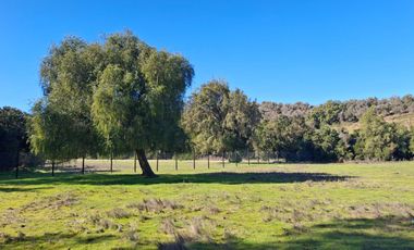 Parcelas de 5.000 m² en El Carpintero, Casablanca: red de luz y agua operativas, portería terminada, rol propio y crédito directo disponible.