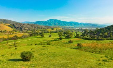 Parcelas de 5.000 m² en El Carpintero, Casablanca: red de luz y agua operativas, portería terminada, rol propio y crédito directo disponible.