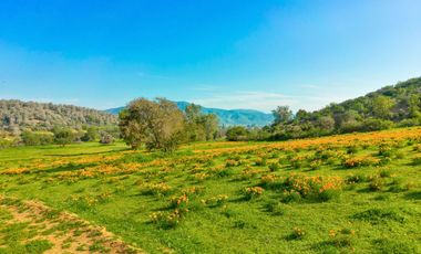Parcelas de 5.000 m² en El Carpintero, Casablanca: red de luz y agua operativas, portería terminada, rol propio y crédito directo disponible.