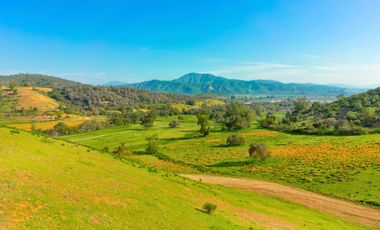 Parcelas de 5.000 m² en El Carpintero, Casablanca: red de luz y agua operativas, portería terminada, rol propio y crédito directo disponible.