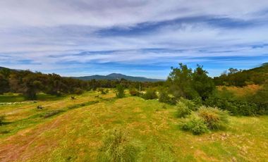 Parcelas de 5.000 m² en El Carpintero, Casablanca: red de luz y agua operativas, portería terminada, rol propio y crédito directo disponible.
