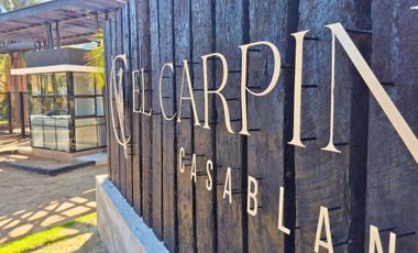 Parcelas de 5.000 m² en El Carpintero, Casablanca: red de luz y agua operativas, portería terminada, rol propio y crédito directo disponible.