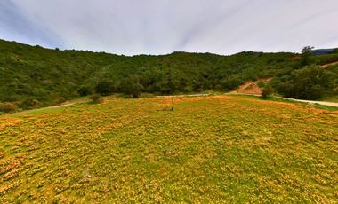 Parcelas de 5.000 m² en El Carpintero, Casablanca: red de luz y agua operativas, portería terminada, rol propio y crédito directo disponible.