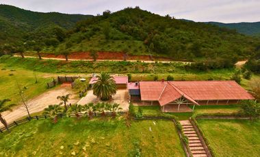 Parcelas de 5.000 m² en El Carpintero, Casablanca: red de luz y agua operativas, portería terminada, rol propio y crédito directo disponible.