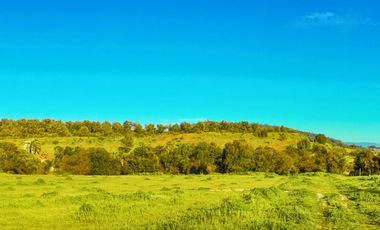 Parcelas de 5.000 m² en El Carpintero, Casablanca: red de luz y agua operativas, portería terminada, rol propio y crédito directo disponible.