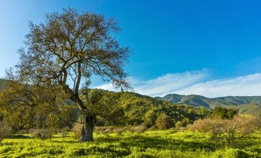 Parcelas de 5.000 m² en El Carpintero, Casablanca: red de luz y agua operativas, portería terminada, rol propio y crédito directo disponible.