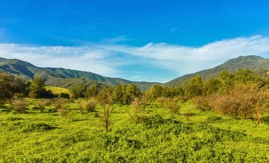 Parcelas de 5.000 m² en El Carpintero, Casablanca: red de luz y agua operativas, portería terminada, rol propio y crédito directo disponible.