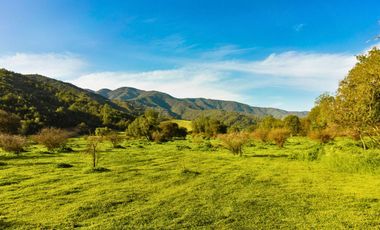 Parcelas de 5.000 m² en El Carpintero, Casablanca: red de luz y agua operativas, portería terminada, rol propio y crédito directo disponible.