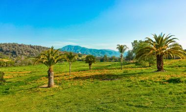 Parcelas de 5.000 m² en El Carpintero, Casablanca: red de luz y agua operativas, portería terminada, rol propio y crédito directo disponible.