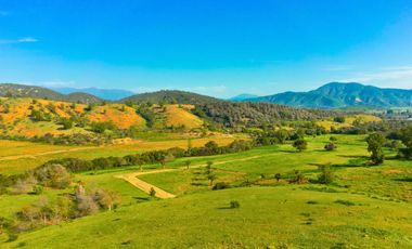 Parcelas de 5.000 m² en El Carpintero, Casablanca: red de luz y agua operativas, portería terminada, rol propio y crédito directo disponible.
