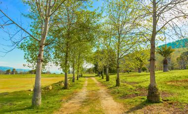 Parcelas de 5.000 m² en El Carpintero, Casablanca: red de luz y agua operativas, portería terminada, rol propio y crédito directo disponible.