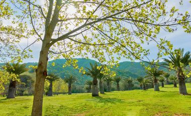 Parcelas de 5.000 m² en El Carpintero, Casablanca: red de luz y agua operativas, portería terminada, rol propio y crédito directo disponible.