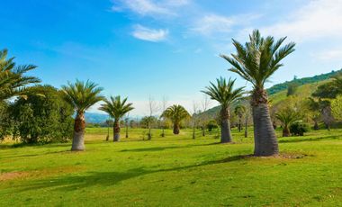 Parcelas de 5.000 m² en El Carpintero, Casablanca: red de luz y agua operativas, portería terminada, rol propio y crédito directo disponible.