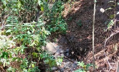 TERRENO DE 4067 MT2 A SOLO 4 METROS DE CALLE PRINCIPAL DEL CERRO DE HUITEPEC. TODOS LOS SERVICIO A LA MANO.