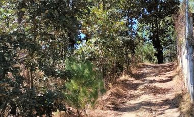 TERRENO DE 4067 MT2 A SOLO 4 METROS DE CALLE PRINCIPAL DEL CERRO DE HUITEPEC. TODOS LOS SERVICIO A LA MANO.