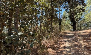 TERRENO DE 4067 MT2 A SOLO 4 METROS DE CALLE PRINCIPAL DEL CERRO DE HUITEPEC. TODOS LOS SERVICIO A LA MANO.