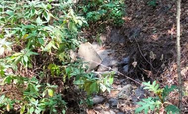 TERRENO DE 4067 MT2 A SOLO 4 METROS DE CALLE PRINCIPAL DEL CERRO DE HUITEPEC. TODOS LOS SERVICIO A LA MANO.