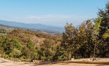 LOTE 616 VIVE SAN CRISTOBAL. REODEADO TOTALMENTE DE NATURALEZA