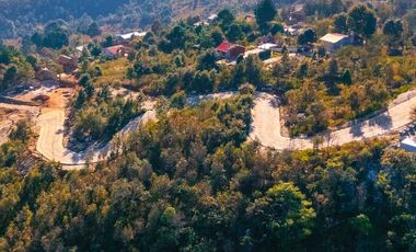 LOTE 616 VIVE SAN CRISTOBAL. REODEADO TOTALMENTE DE NATURALEZA