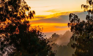 LOTE 616 VIVE SAN CRISTOBAL. REODEADO TOTALMENTE DE NATURALEZA