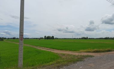 Quick sale, cheap price, land plot 26-2-51 rai. 2.27Mbaht, road, electricity, underground water, Nong Krachao Subdistrict, Chum Saeng District, Nakhon Sawan
