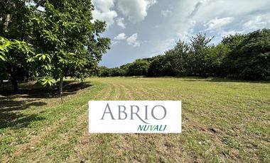 Abrio NUVALI for Sale, Phase 2 (887 sqm)