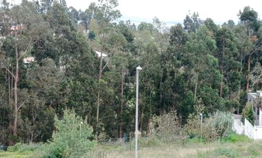 ¡TERRENO EN  VENTA EN PINLLO!