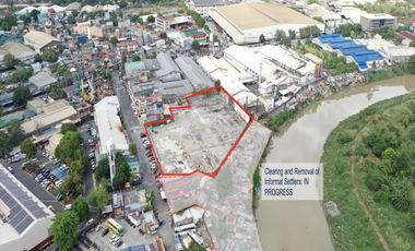 Commercial/Residential Lot for Sale in Manggahan St. Quezon City