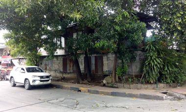 Corner Lot For Sale in Pasig city