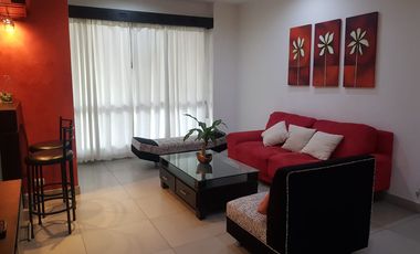 Alquiler de Hermosa Suite Amoblada Kennedy Norte