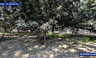 Lujosa Casa De Campo En Venta - Los Aquijes (Ica)