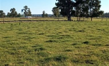 Parcela en Puerto Nuevo $35.000.000.-