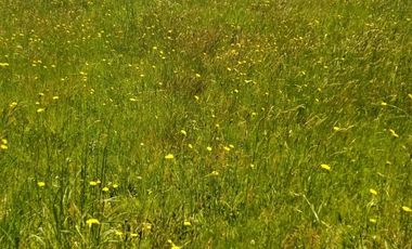 Parcela en Puerto Nuevo $35.000.000.-