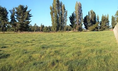 Parcela en Puerto Nuevo $35.000.000.-